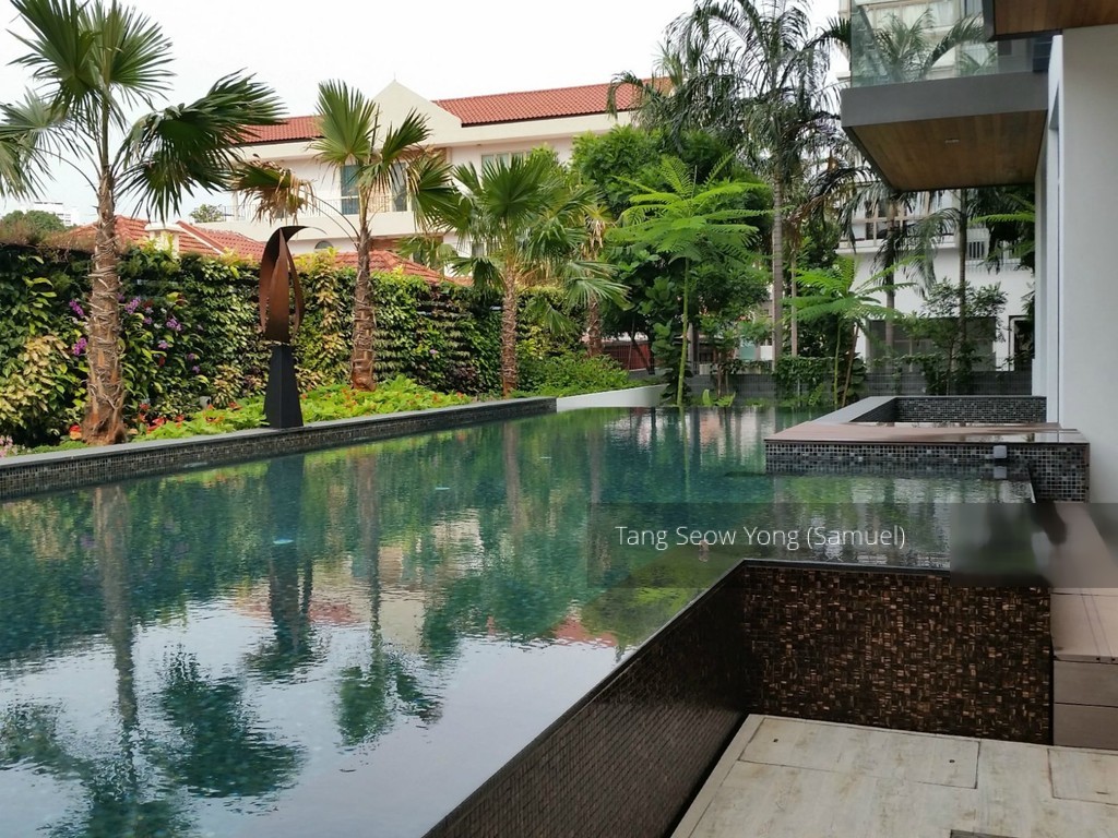 7 on Chapel (D15), Apartment #130553382